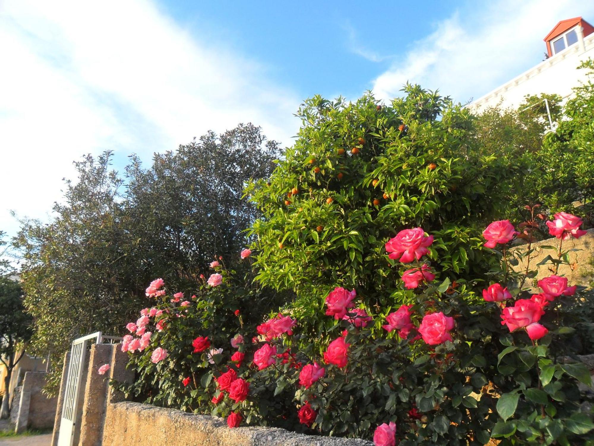 House Smajic Hotel Dubrovnik Exterior photo